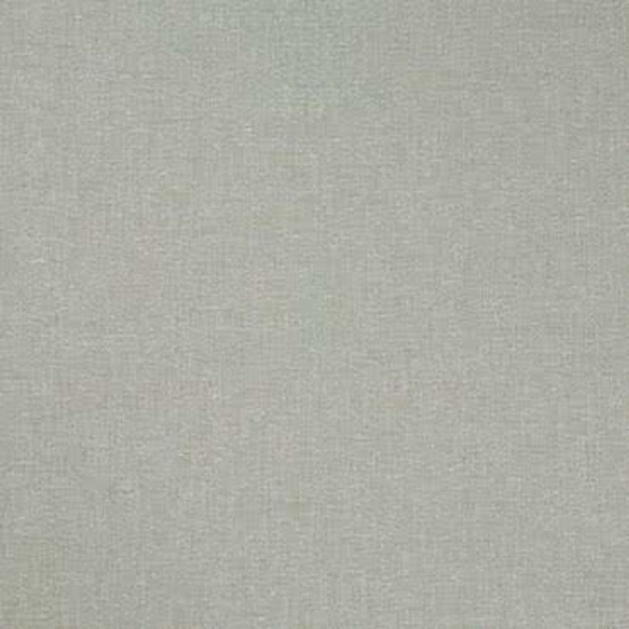 Lindora Silver Curtain