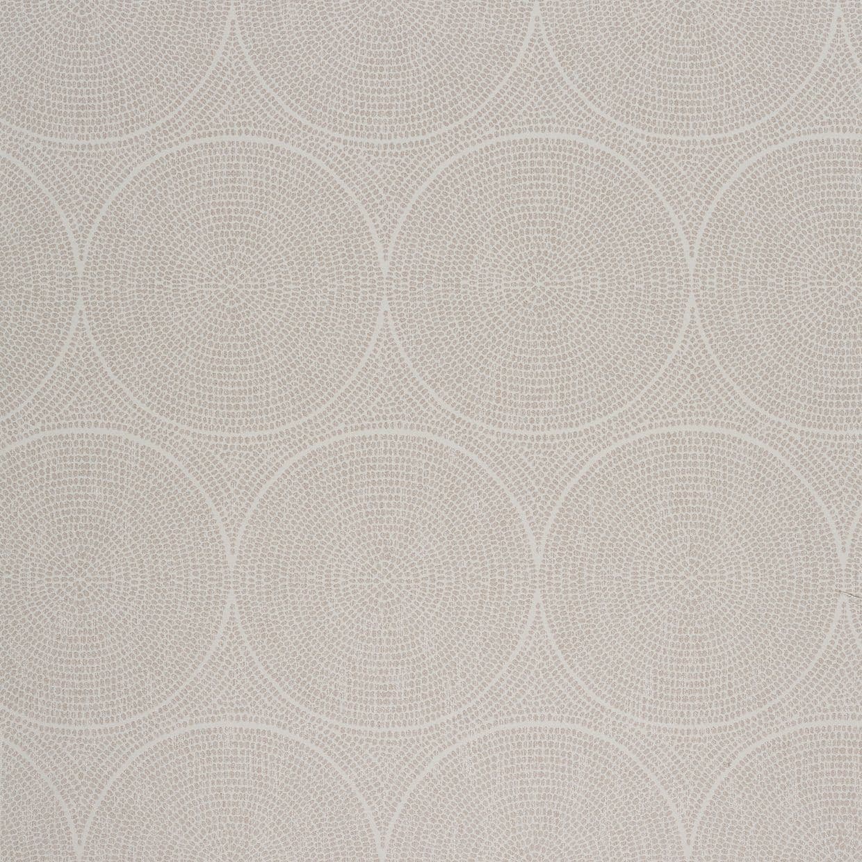 Zane Almond Roman blind