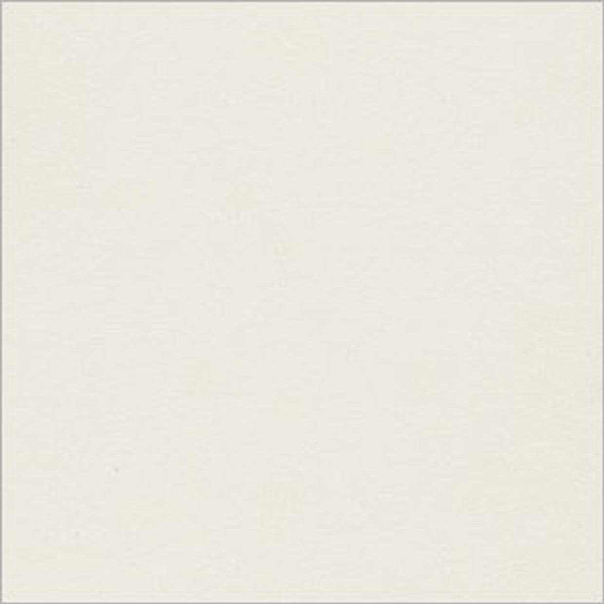 Ivory Lace Shutter