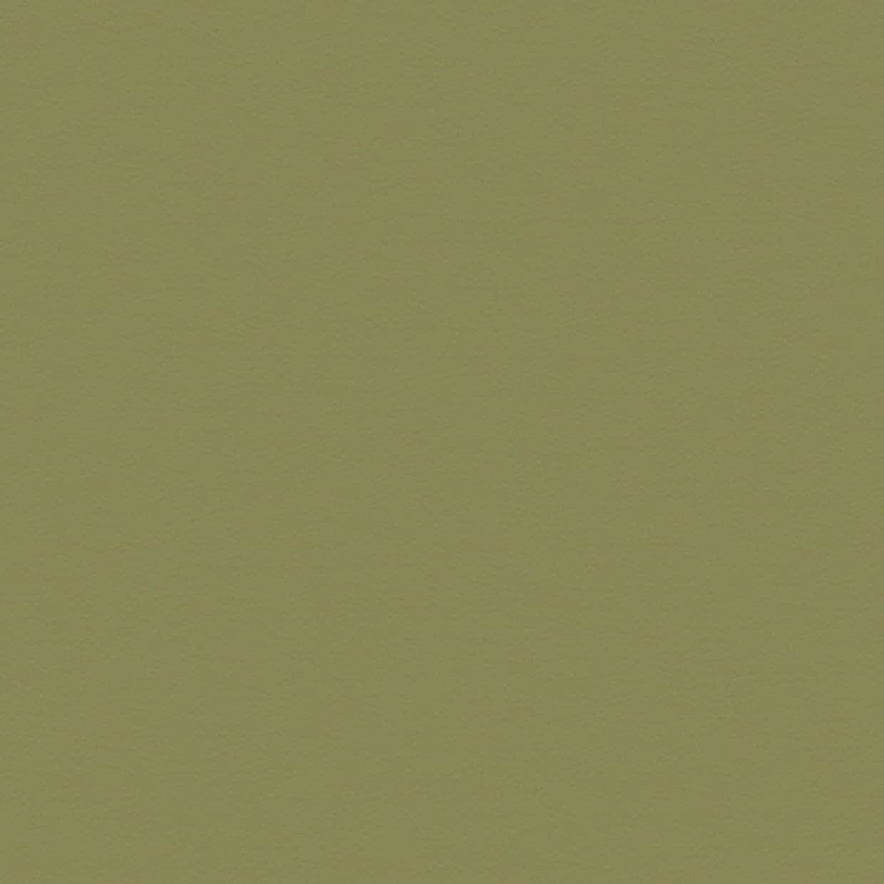 Cordova Pesto Conservatory Roller blind