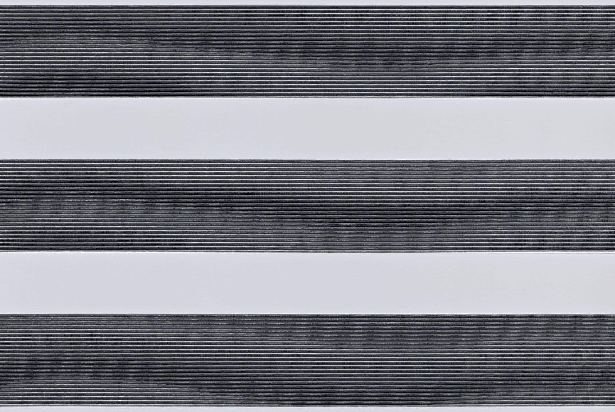 Awaken Graphite Day and Night Blind